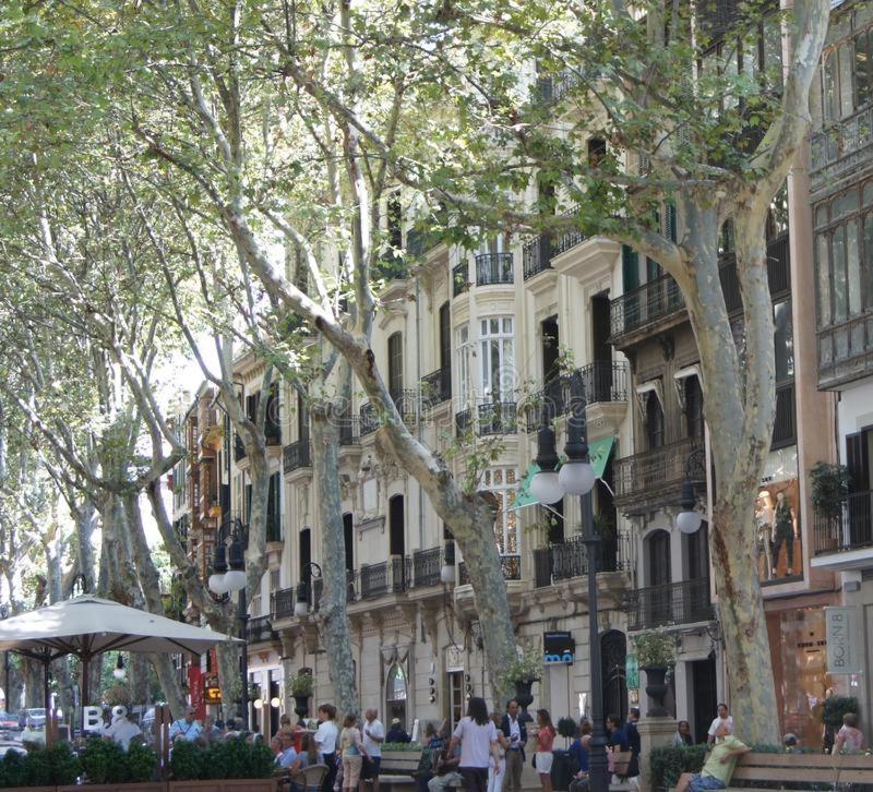 Palma center house Palma de Maiorca Exterior foto